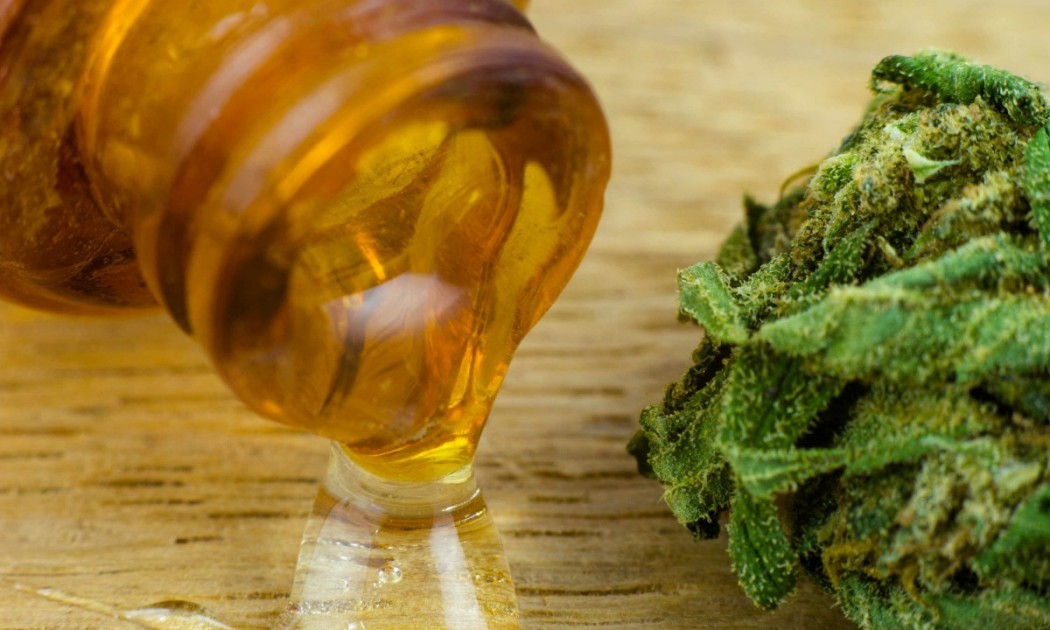 ONG mendocinas luchan para ampliar el acceso al cannabis medicinal