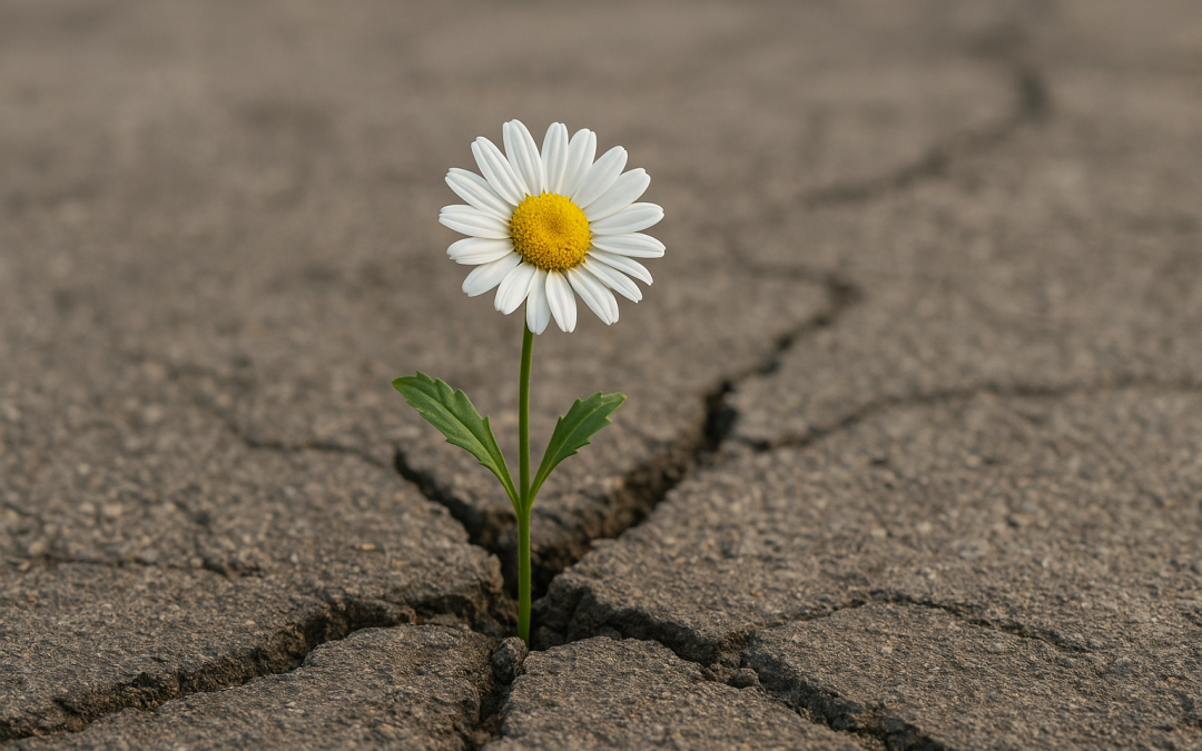 Resiliencia y apoyo social: dos pilares olvidados para una buena adherencia al tratamiento del VIH
