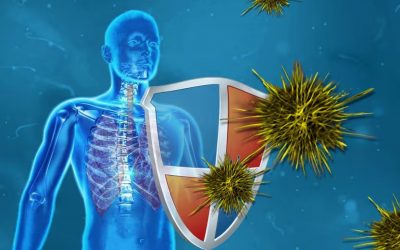 El sistema inmunitario innato desempeñó un papel inesperado en uno de los casos de curación del VIH